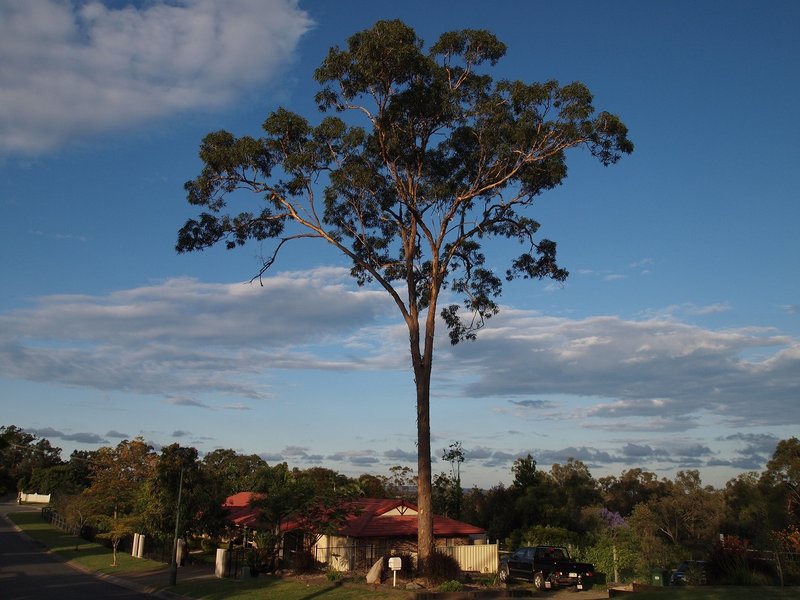 PA272749.JPG