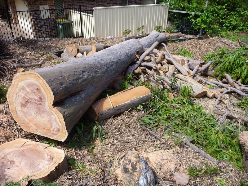 P1000094 - Copy.JPG