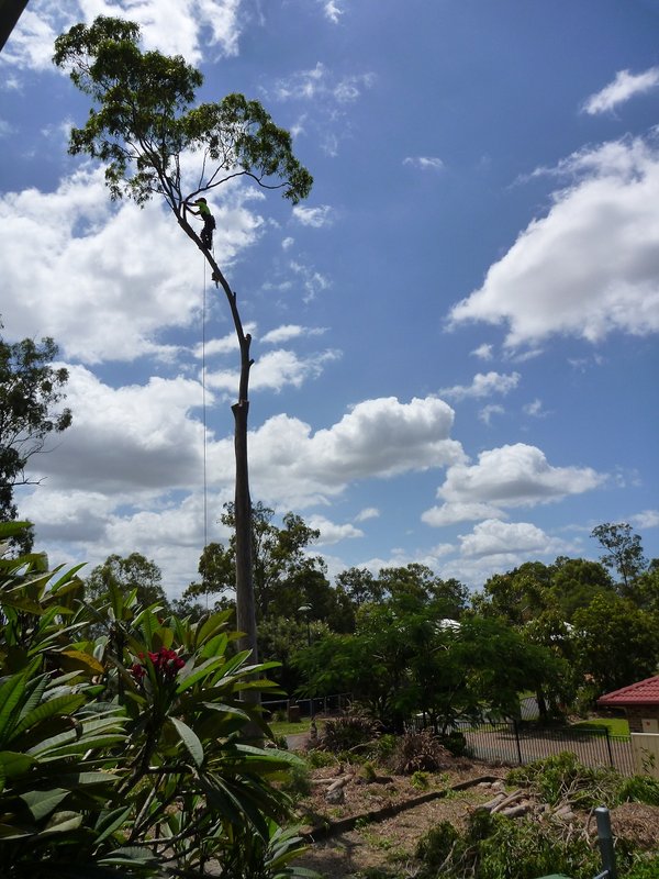 P1000079 - Copy.JPG