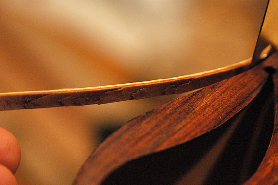 2011_D70_2929.jpg