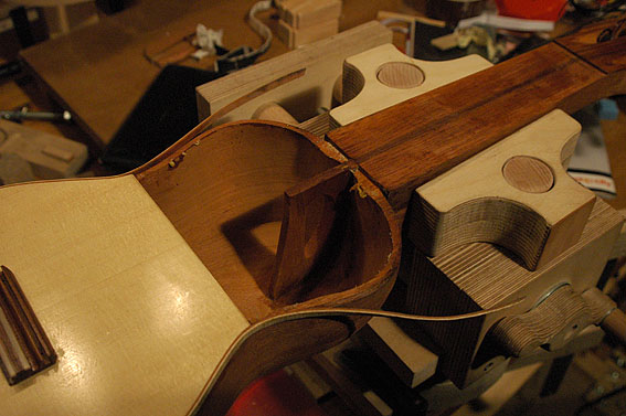 2011_D70_2939-1.jpg