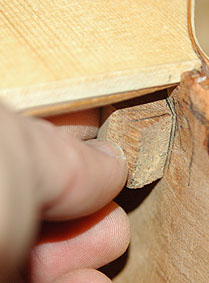 2011_D70_3000-1.jpg
