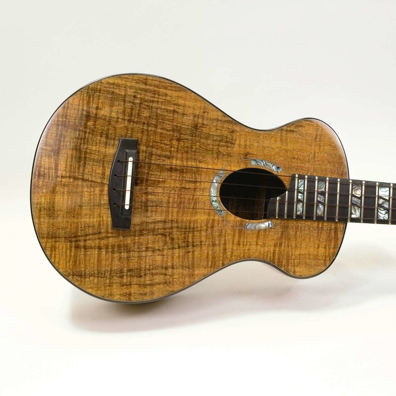 B;aclwppd Tenor04.jpg
