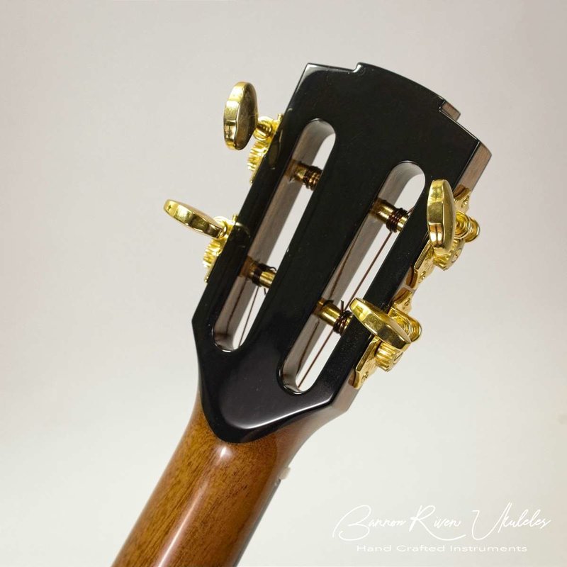 B;aclwppd Tenor15.jpg