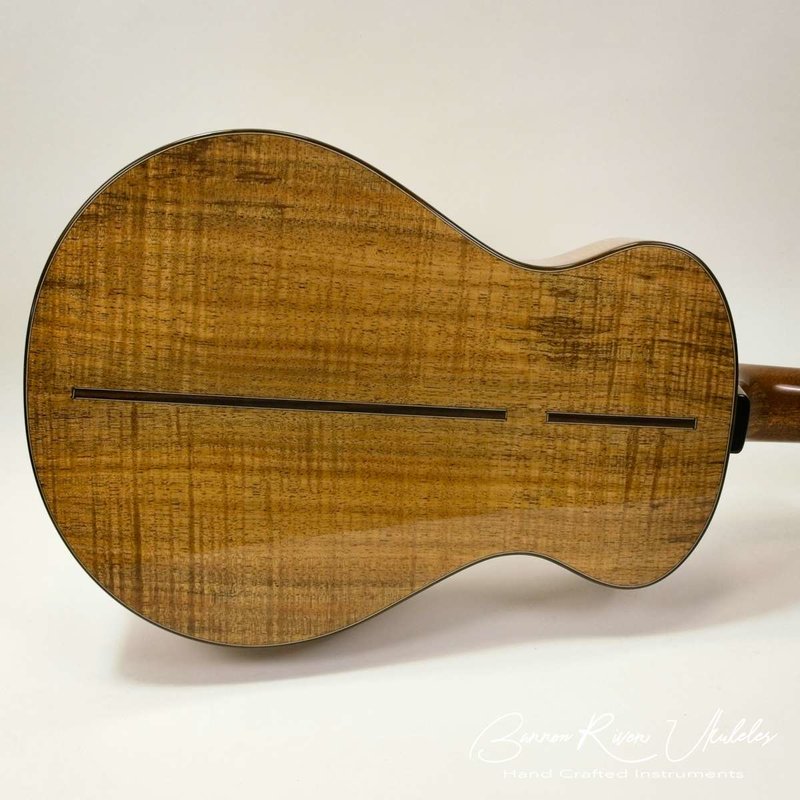 Blackwood and Lutz Baritone03.jpg