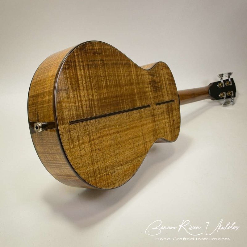 Blackwood and Lutz Baritone05.jpg