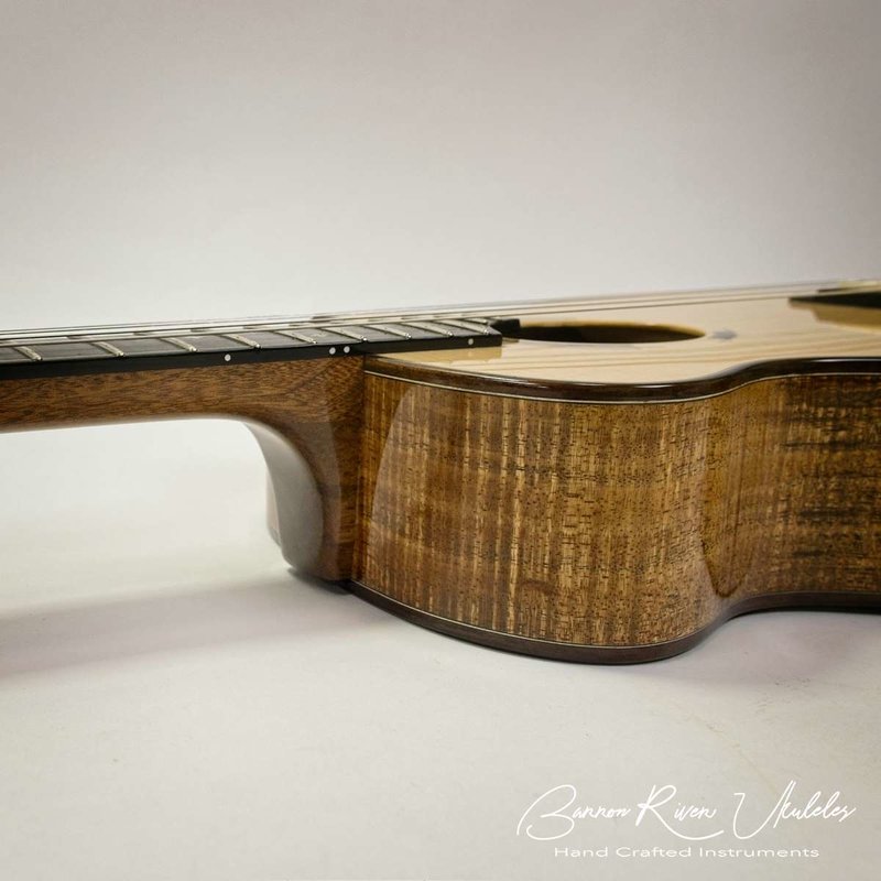 Blackwood and Lutz Baritone08.jpg