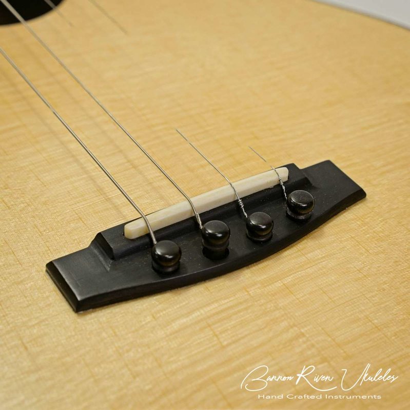 Blackwood and Lutz Baritone10.jpg