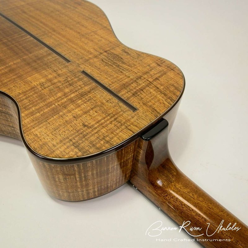 Blackwood and Lutz Baritone14.jpg