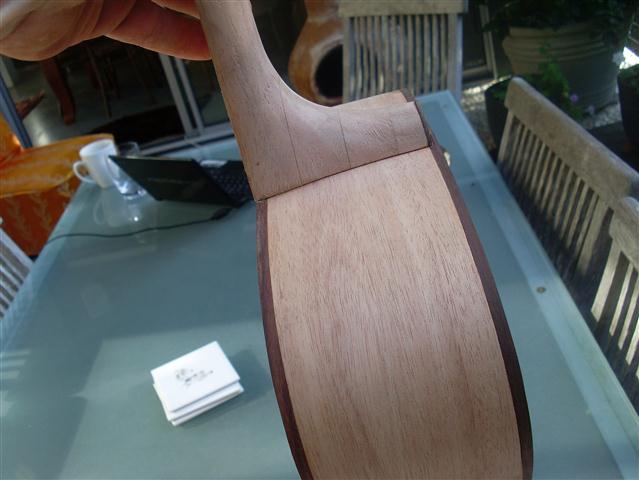 brunswick rose 007 (Small).JPG