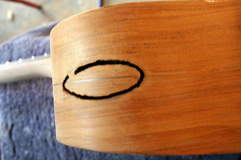 63koru.jpg