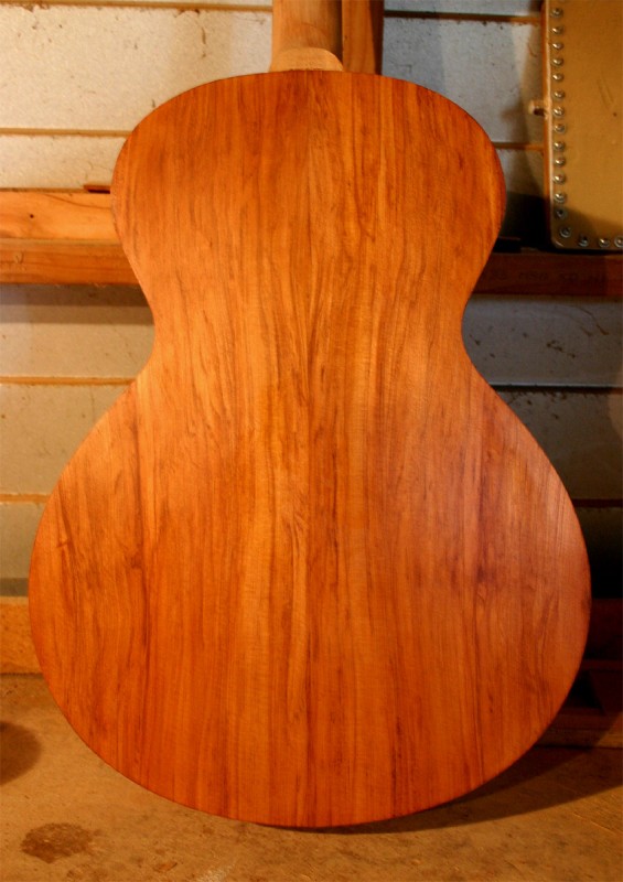 61koru.jpg